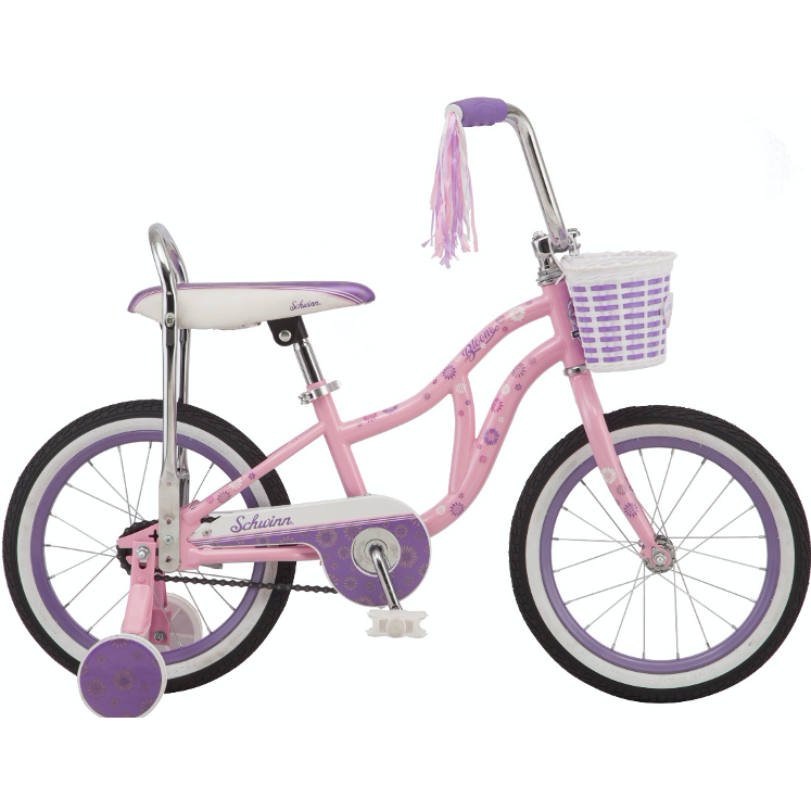 schwinn girls bike 18